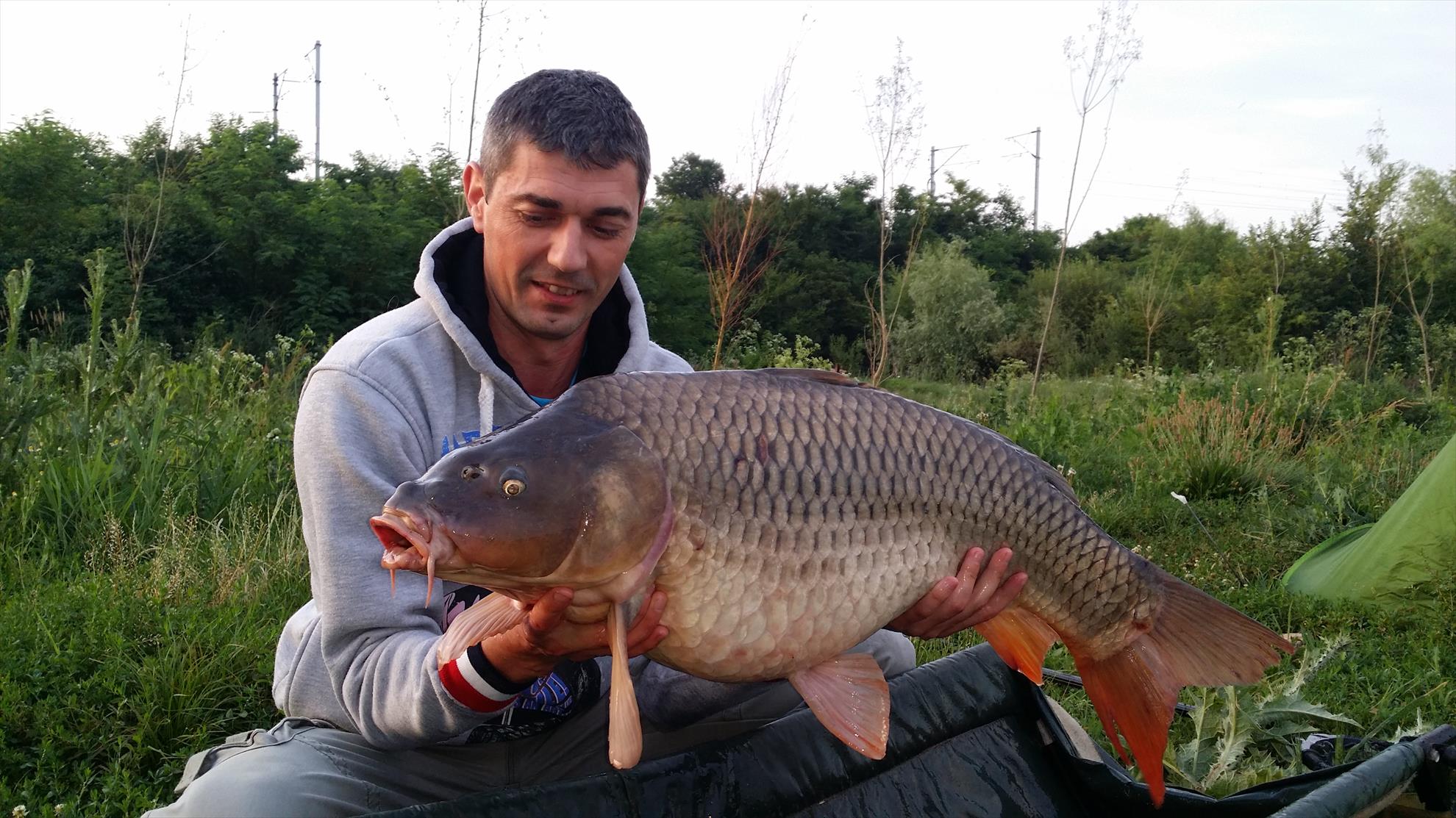 Peris - 20150615054923.jpg